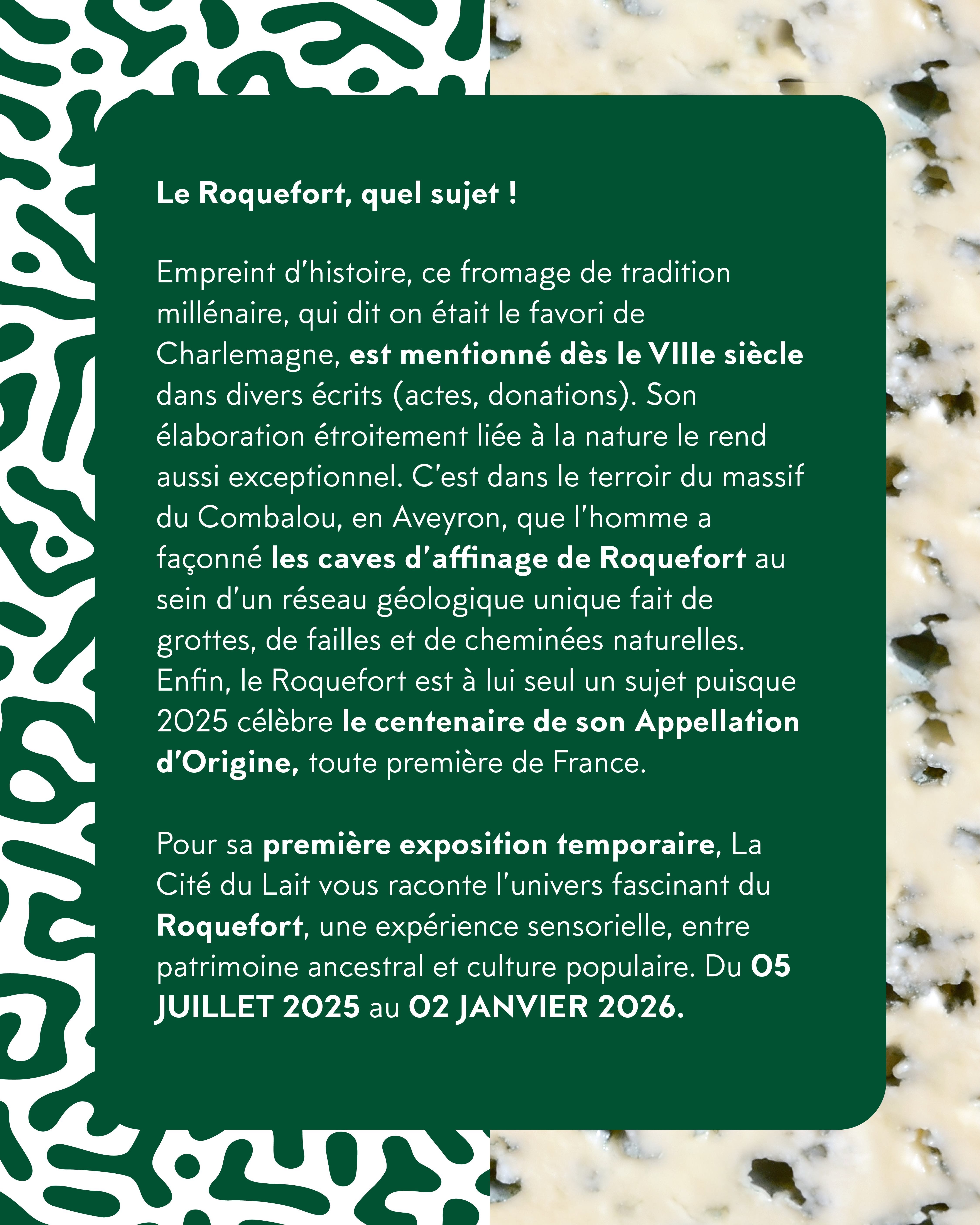 Image Projet 1